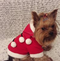 Avatar for Beata Beata